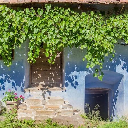 Experience Transylvania Viscri 63B Kültér fotó